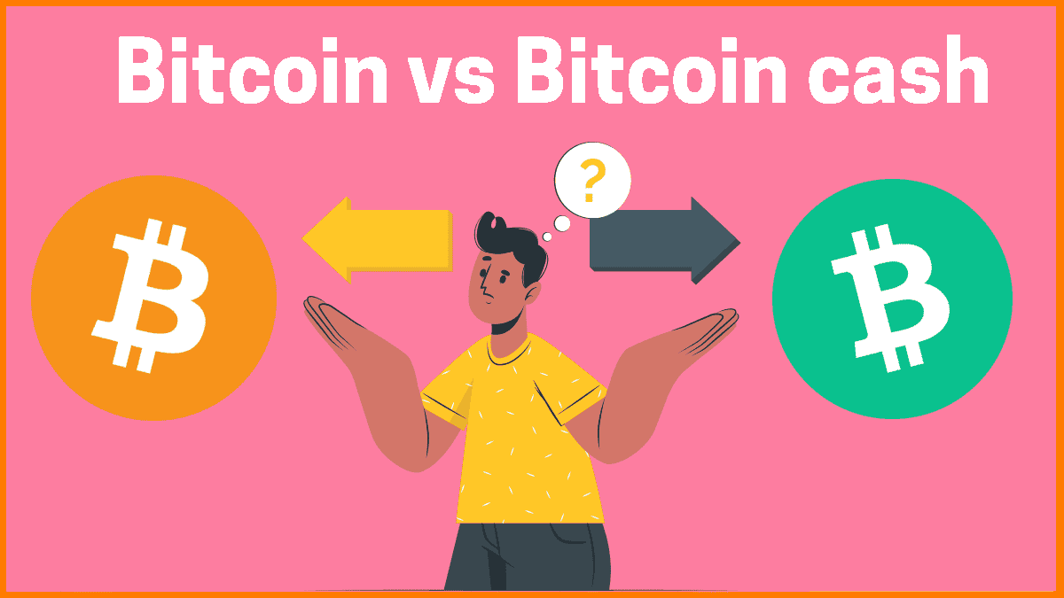 bitcoin vs bitcoin cash 2020 befektetés