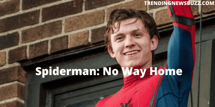 Are you excited about the upcoming movie of Tom Holland’s Spiderman: No Way Home?