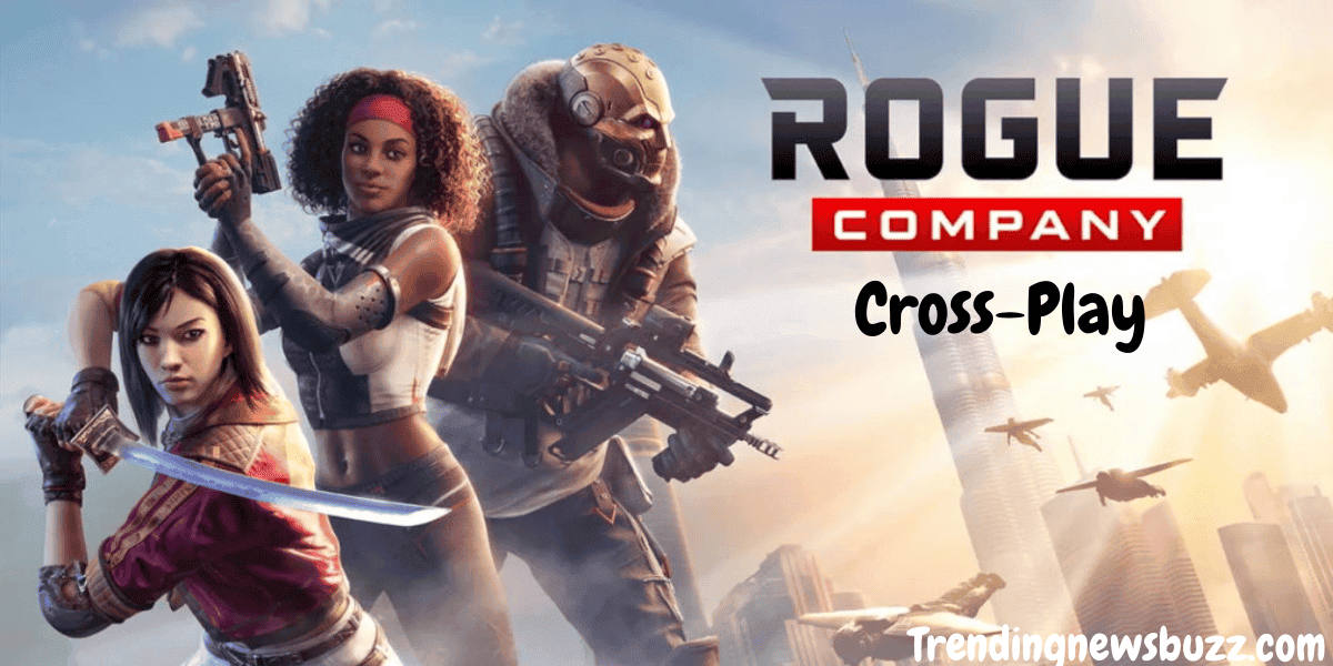 Rogue Company Crossplay