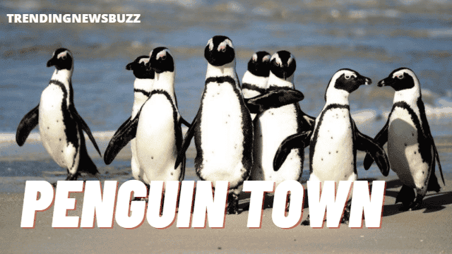 penguin town