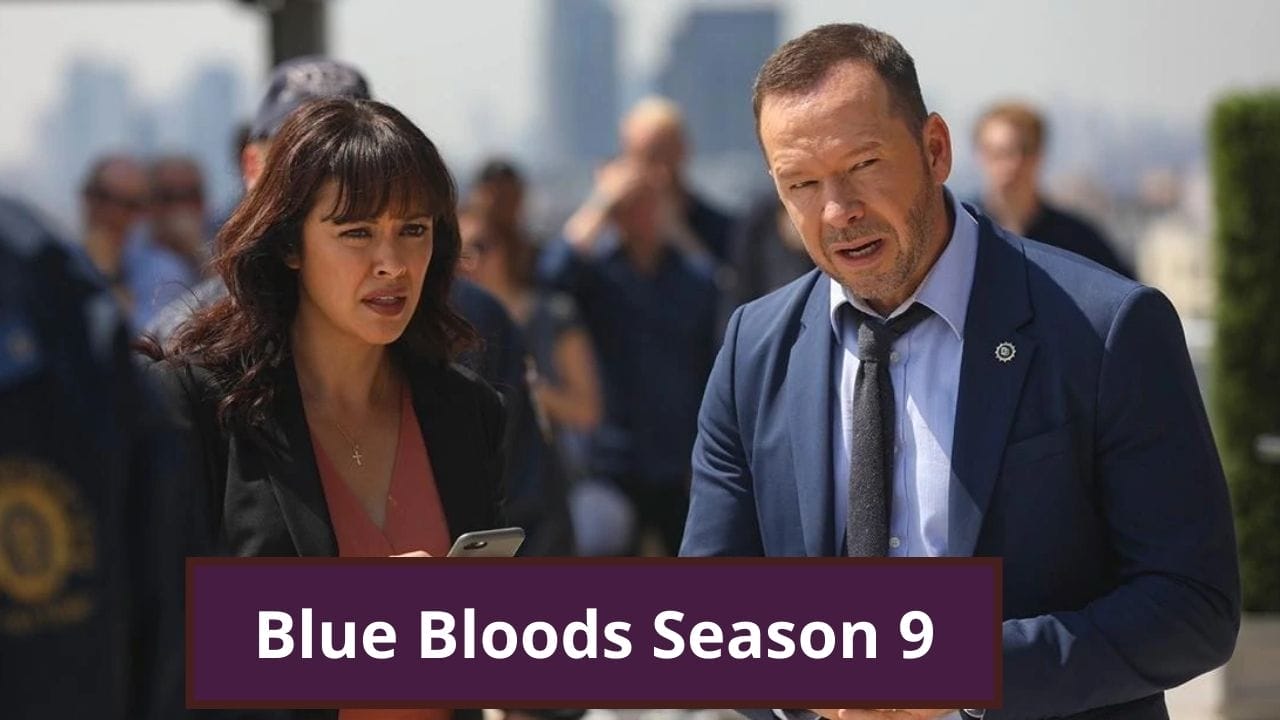Blue Bloods Season 9 : What Happened to Erin's First Investigator on Blue  Bloods?