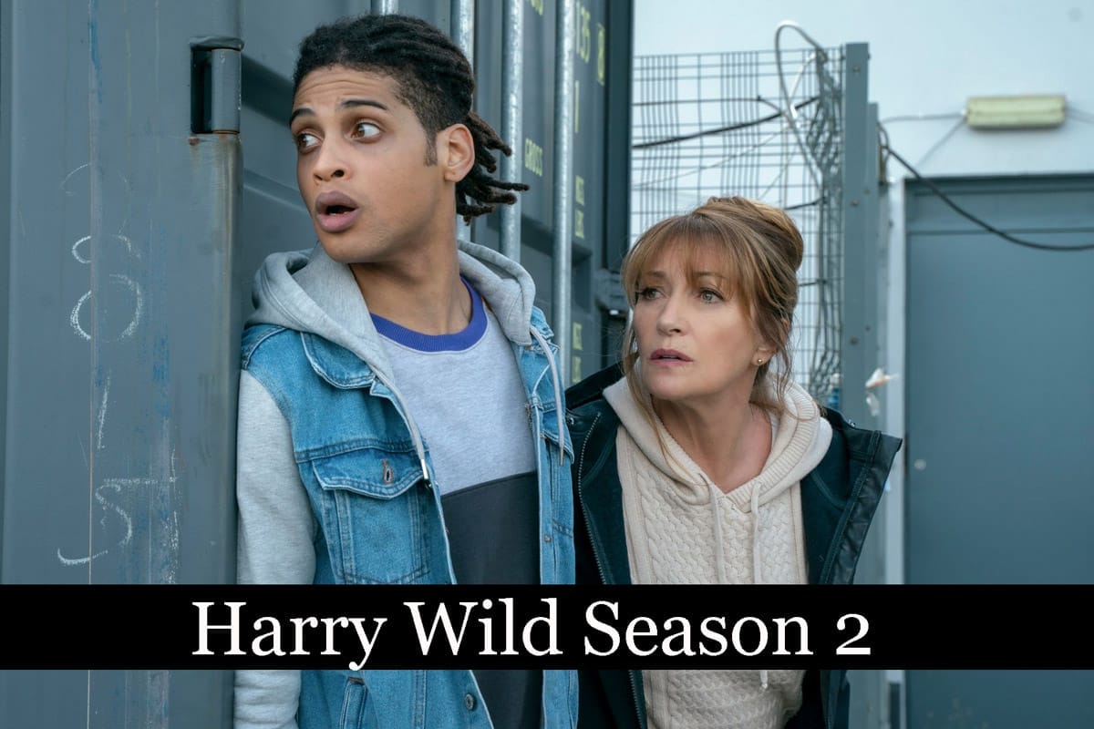 Harry Wild Season 2