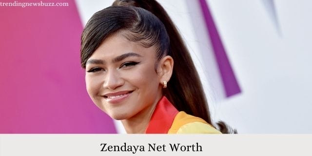 Zendaya Net Worth