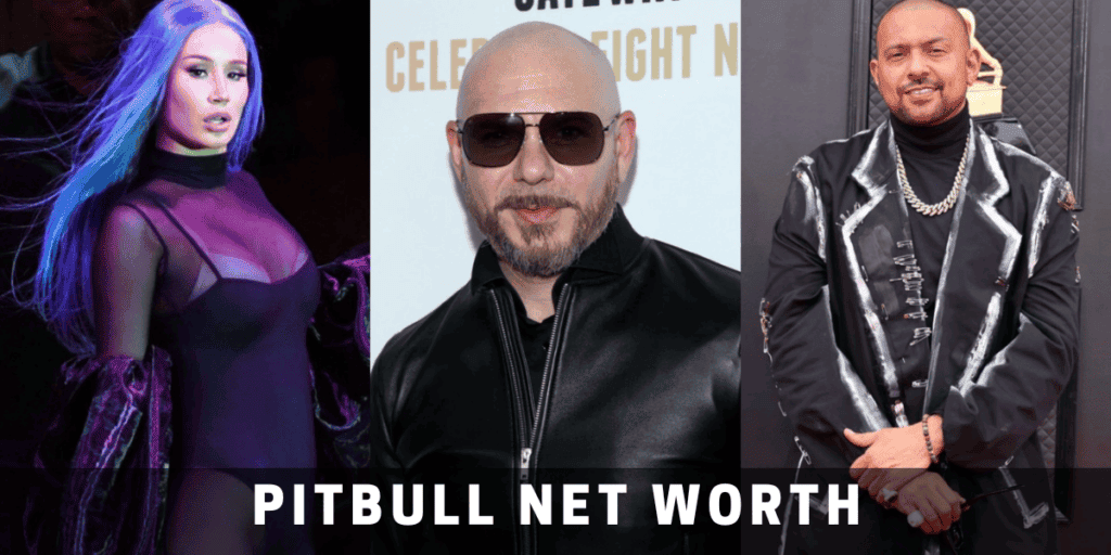 pitbull net worth