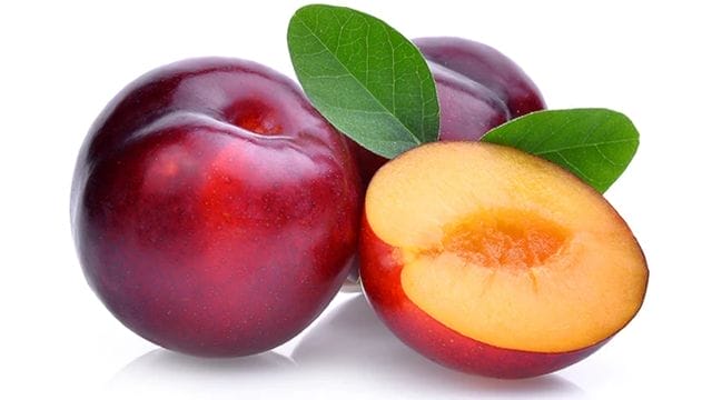 When Are Plums in Season