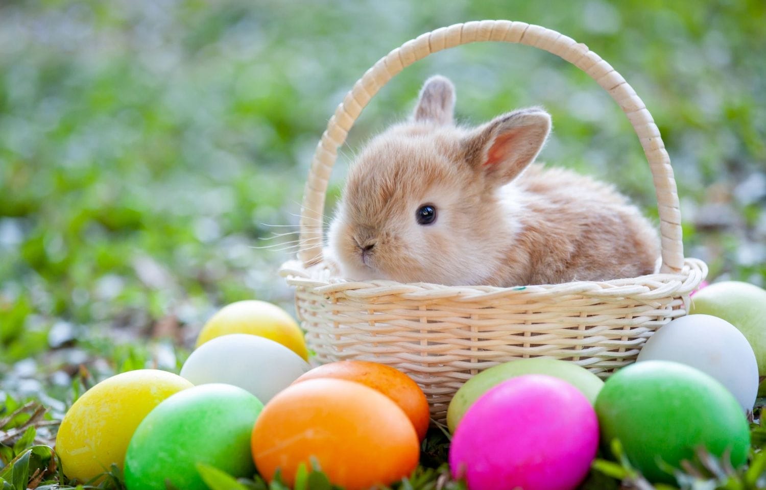 What Day Is Easter 2023 On What Are The Interesting Facts About Easter 