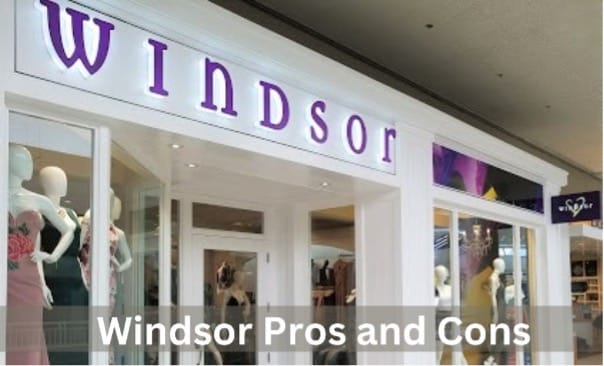 Windsor Dresses Review_ Unveiling the Hidden Truths Behind this Popular Apparel Brand