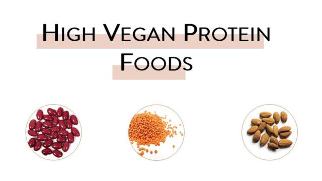 High Vegan Protein Food