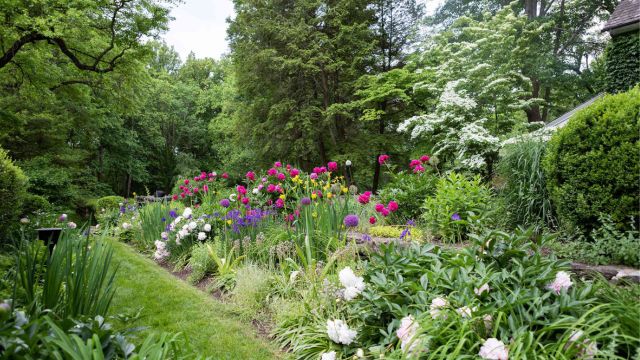  Choices for Perennial Flowers