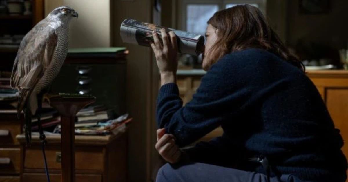 h is for hawk film release date