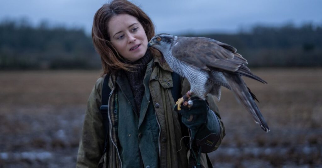 H Is For Hawk Film Release Date: A Story Of Grief, Grit, And Goshawks ...