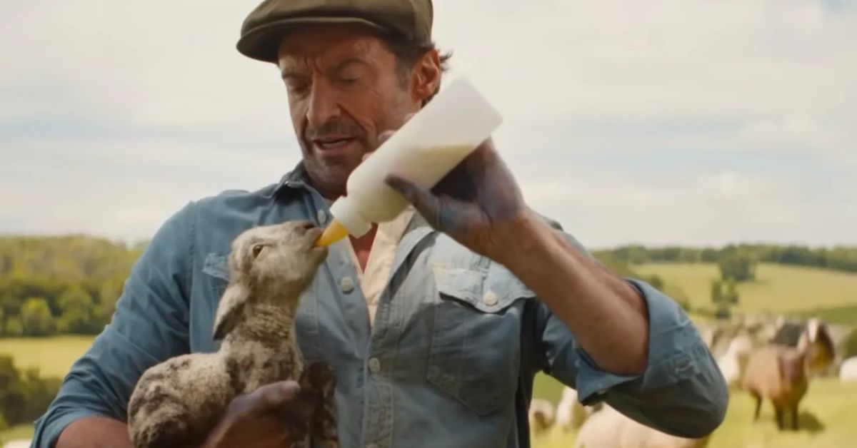 the sheep detectives release date