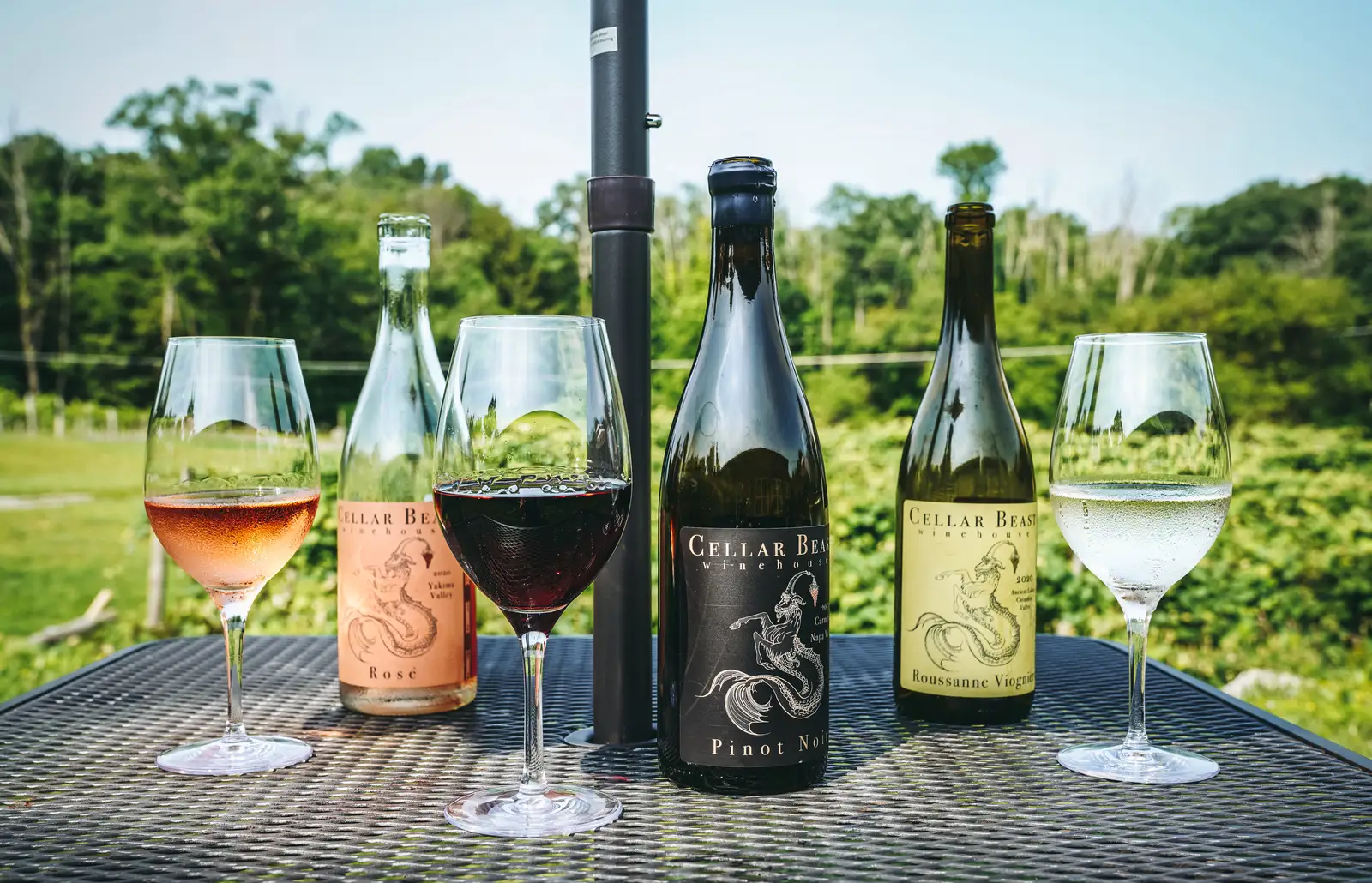 The Different Types of Wine: A Beginner's Guide to Finding Your Perfect Bottle