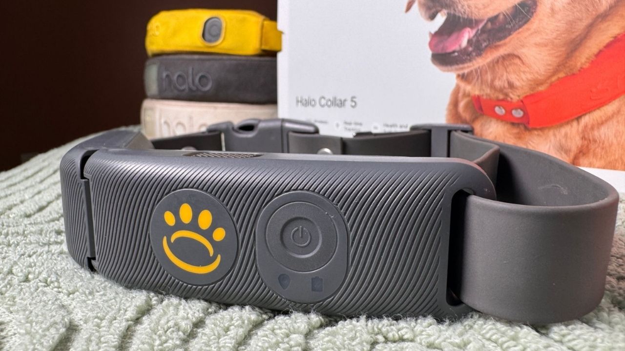 Halo Collar Review: GPS Dog Collar, Features & Pricing 2026